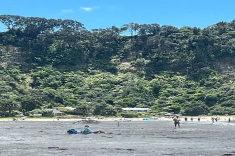 Photo of property in 3b Fort Street, Cambridge, 3434