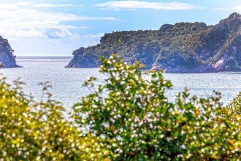 Photo of property in 20 Tutaritari Road, Hahei, Whitianga, 3591