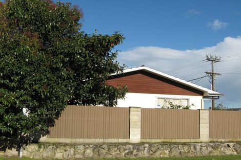 Photo of property in 101 Ballantyne Street, Frimley, Hastings, 4120