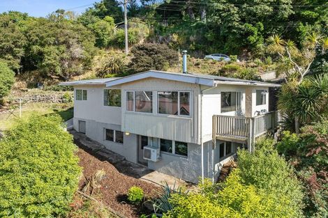 Photo of property in 51 Buccleugh Street, North East Valley, Dunedin, 9010