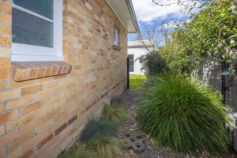 Photo of property in 3a Brooklyn Road, Claudelands, Hamilton, 3214