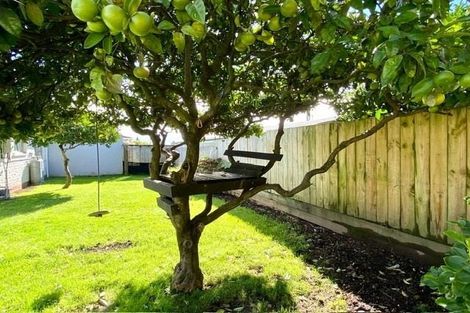 Photo of property in 26b Hookey Drive, Te Puke, 3119