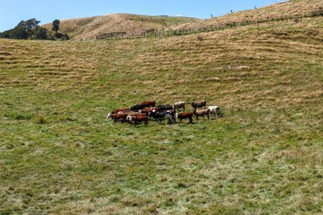 Photo of property in 880 Kopuku Road, Maramarua Forest, Pokeno, 2471