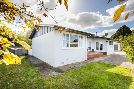 Photo of property in 24 Bamfield Street, Ashhurst, 4810