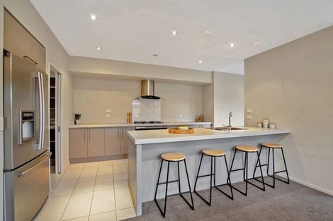 Photo of property in 244 Brookside Road, Rolleston, 7614