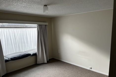 Photo of property in 19 Sheen Street, Roslyn, Dunedin, 9010