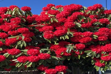 Photo of property in 1/54 Rutherford Street, Woolston, Christchurch, 8023