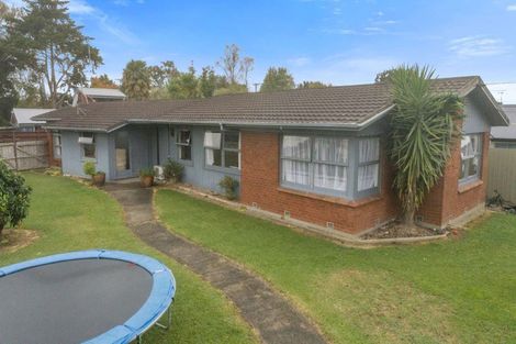 Photo of property in 26 Bankwood Road, Chartwell, Hamilton, 3210
