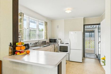 Photo of property in 45 Duke Street, Levin, 5510