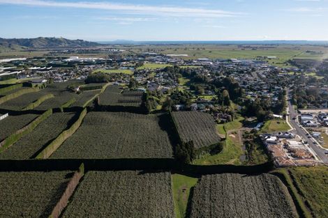 Photo of property in 81 Dunlop Road, Te Puke, 3119