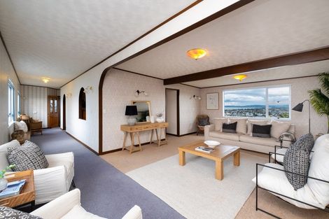 Photo of property in 49 Cameron Road, Bluff Hill, Napier, 4110