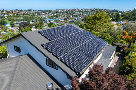 Photo of property in 117 Lynn Street, Wakari, Dunedin, 9010