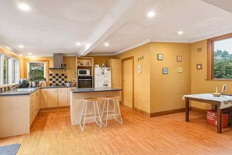 Photo of property in 22 Bouverie Street, North East Valley, Dunedin, 9010