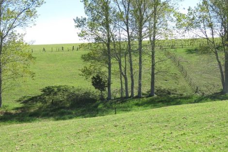 Photo of property in 229 Pakaru Road, Kawakawa, 0282