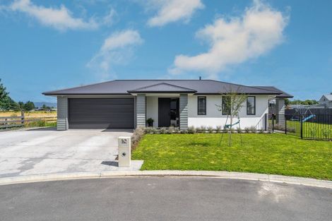 Photo of property in 10 Old Orchard Road, Solway, Masterton, 5810