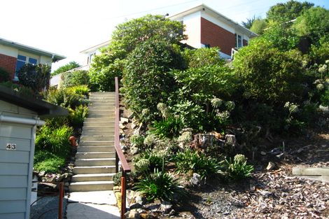 Photo of property in 43 Calder Avenue, North East Valley, Dunedin, 9010