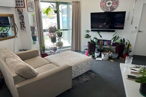 Photo of property in Palm Grove Apartments, 18/13b Palm Grove, Berhampore, Wellington, 6023