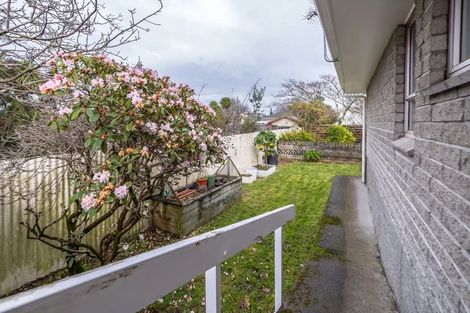 Photo of property in 3e Herbert Street, Masterton, 5810