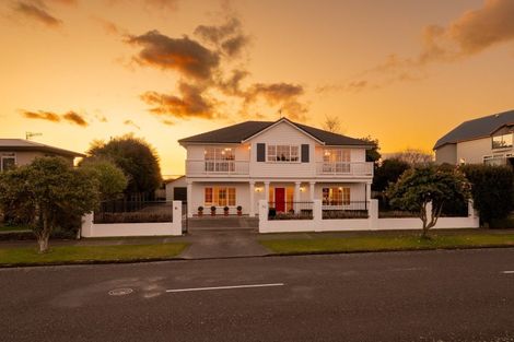 Photo of property in 39 Dittmer Drive, Awapuni, Palmerston North, 4412
