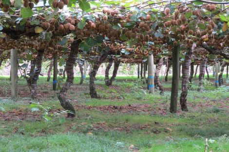 Photo of property in 28 Lindemann Road, Katikati, 3170