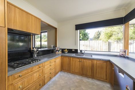 Photo of property in 19 Truscott Grove, Awapuni, Palmerston North, 4412