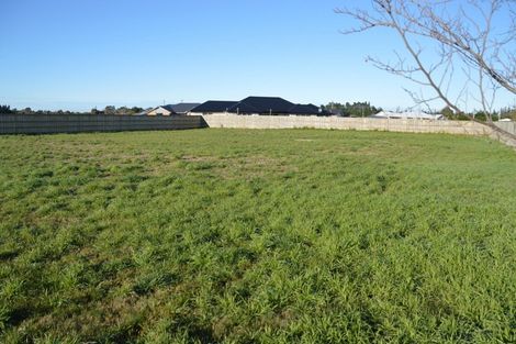 Photo of property in 9 Fantail Avenue, Amberley, 7410