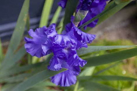 Photo of property in 15a Rosebank Grove, Waikanae, 5036