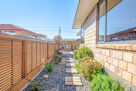 Photo of property in 105 Winchester Street, Levin, 5510