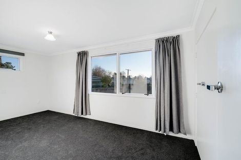 Photo of property in 60 Fitzroy Avenue, Fitzroy, Hamilton, 3206