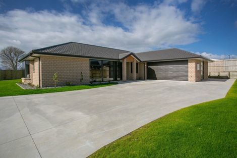 Photo of property in 20 Richardson Road, Matamata, 3400