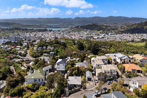 Photo of property in 21 Mana Street, Vogeltown, Wellington, 6021