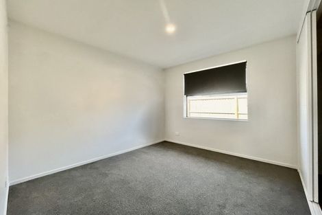 Photo of property in 55 Mcgrath Drive, Lincoln, 7608