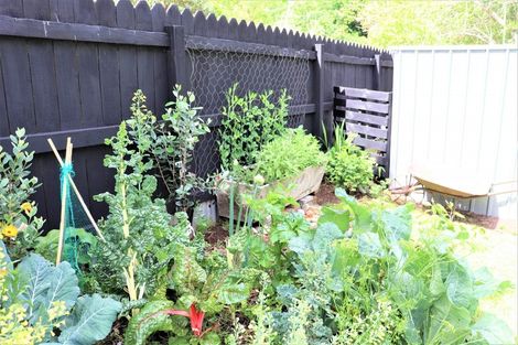 Photo of property in 20 Clarke Street, Waihi, 3610