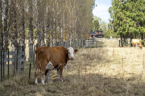 Photo of property in 83 Boundary Road, Upper Plain, Masterton, 5888