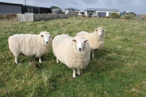 Photo of property in 42 Surrey Street, Orepuki, Riverton, 9881