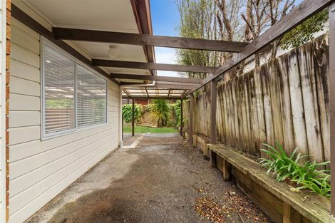 Photo of property in 55 Palomino Drive, Henderson, Auckland, 0612