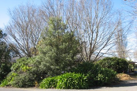 Photo of property in 52 Mcgreevy Street, Waipawa, 4210