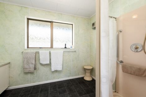 Photo of property in 209a Weld Street, Witherlea, Blenheim, 7201