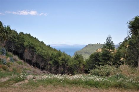 Photo of property in 124 Highland Drive, Acacia Bay, Taupo, 3385