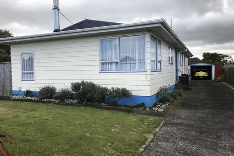 Photo of property in 20 Exeter Street, Stratford, 4332