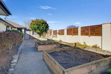Photo of property in 22 Boyce Street, Renwick, 7204