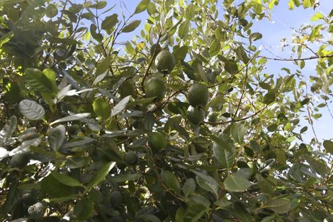 Photo of property in 34 Cedar Drive, Paraparaumu Beach, Paraparaumu, 5032