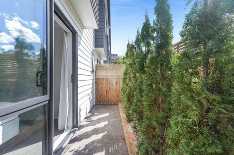 Photo of property in 2/20 Hunter Street, Hamilton Lake, Hamilton, 3204