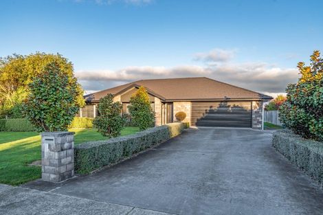 Photo of property in 13 Gimson Street, Solway, Masterton, 5810