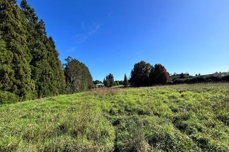 Photo of property in 100 Te Ahu Ahu Road, Ohaeawai, Kaikohe, 0472