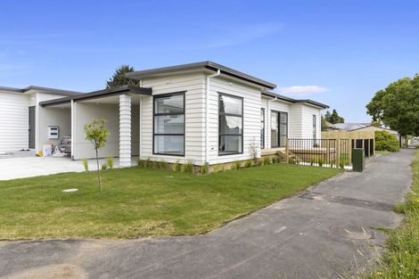 Photo of property in 1/2 Searancke Place, Fairfield, Hamilton, 3214