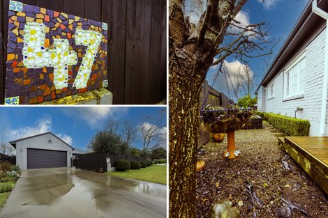 Photo of property in 47 Raleigh Street, Leamington, Cambridge, 3432