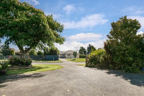 Photo of property in 6 Vogel Place, Te Aroha, 3320