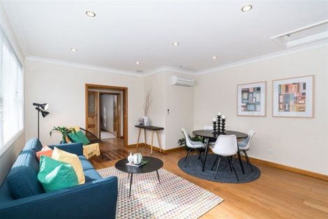 Photo of property in 24 Oxford Street, Hokowhitu, Palmerston North, 4410