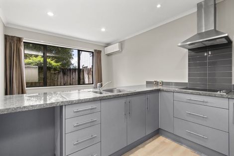 Photo of property in 127c Massey Street, Frankton, Hamilton, 3204